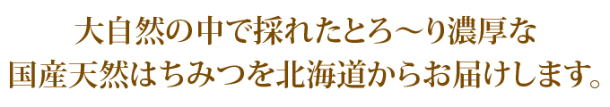 天然 はちみつ